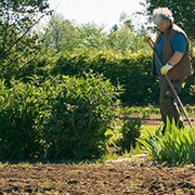 Mother Earth’s soils are suffering